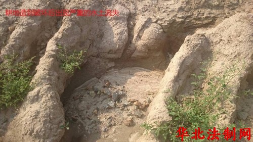 黑龙江呼兰区:涉嫌违法征地千亩仅给党纪处理就算完事?