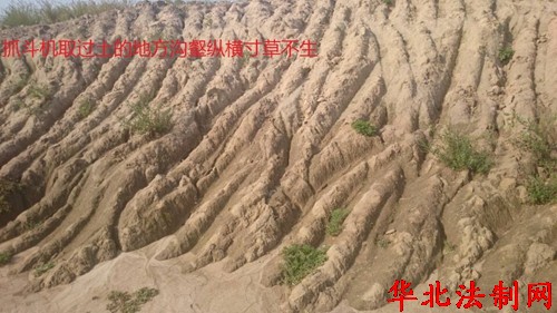 黑龙江呼兰区:涉嫌违法征地千亩仅给党纪处理就算完事?