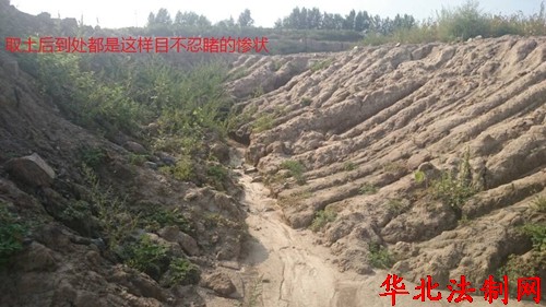 黑龙江呼兰区:涉嫌违法征地千亩仅给党纪处理就算完事?