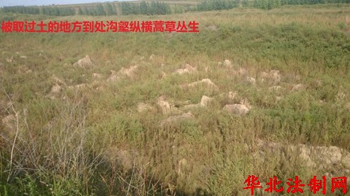 黑龙江呼兰区:涉嫌违法征地千亩仅给党纪处理就算完事?