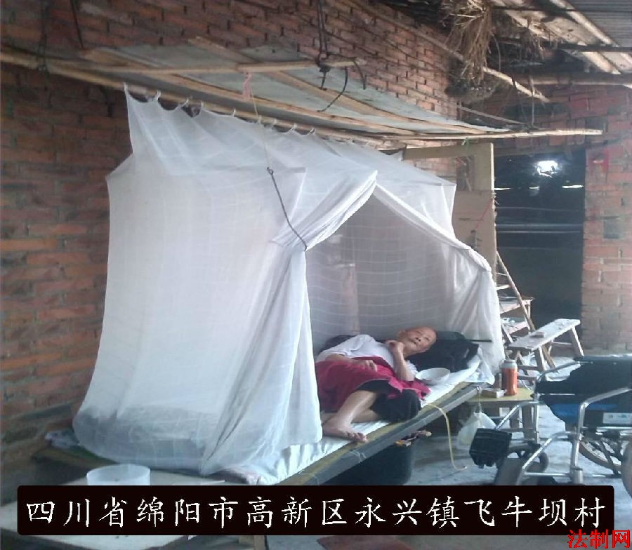 图片2.jpg