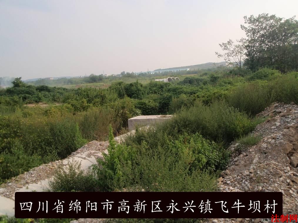 图片4.jpg