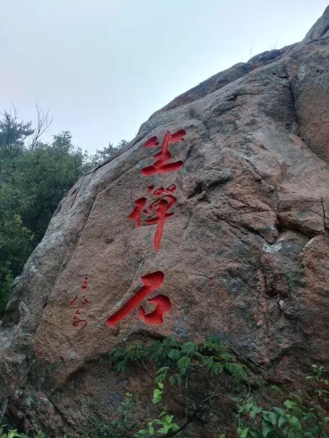 1530177750697717.jpg 1.jpg