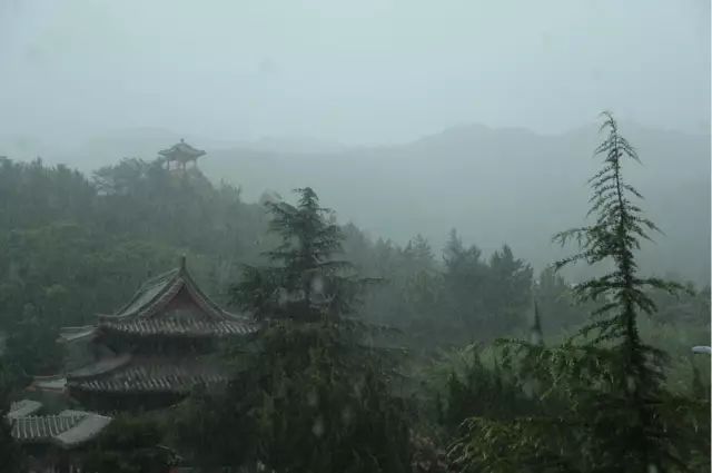 1530177992100565.jpg 1.jpg