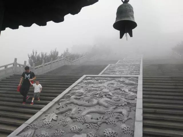 1530177915245625.jpg 1.jpg