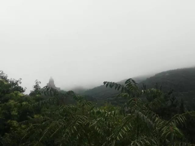 1530178046567761.jpg 1.jpg