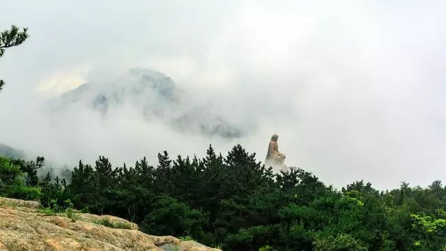 1530178071351999.jpg 1.jpg